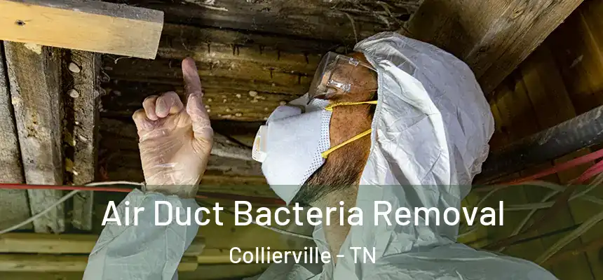 Air Duct Bacteria Removal Collierville - TN