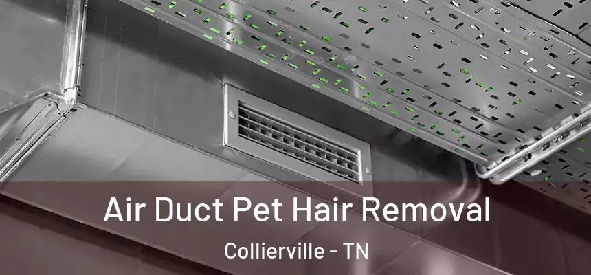  Air Duct Pet Hair Removal Collierville - TN