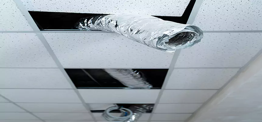 Our Air Duct Pet Hair Removal Services in Collierville, TN