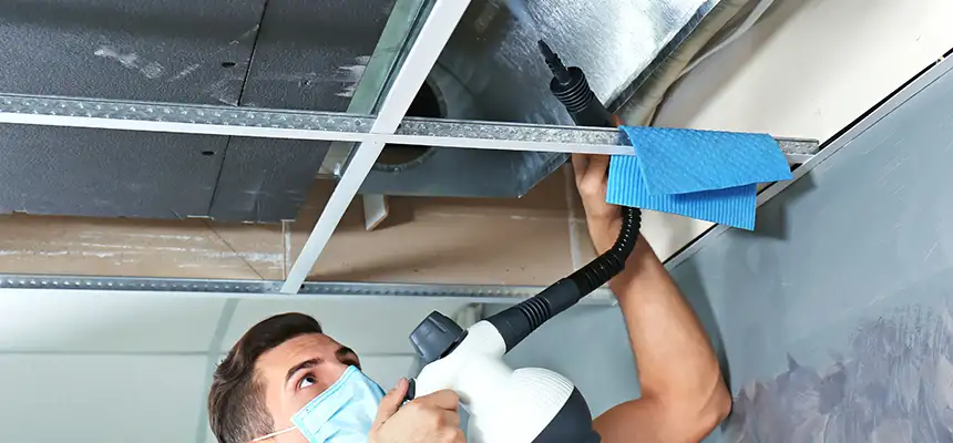 Our Air Duct Rodent Removal Services in Collierville, TN