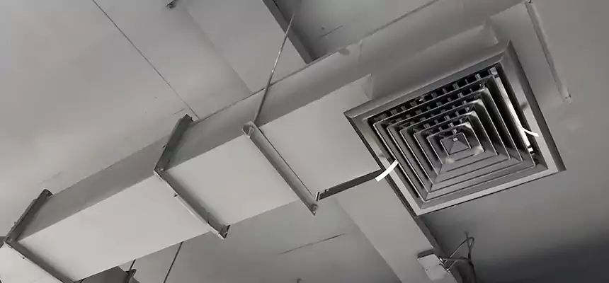 Our Rodent Droppings In Vents Services in Collierville, TN