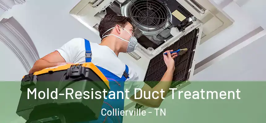  Mold-Resistant Duct Treatment Collierville - TN