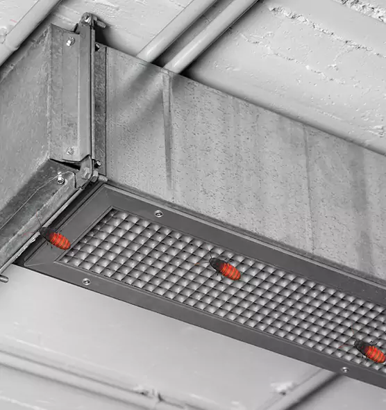 About Air Duct Cockroach Removal in Collierville, TN