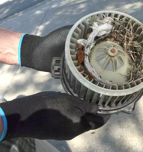 About Air Duct Mice Removal in Collierville, TN