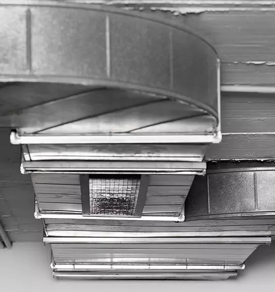 Professional Air Duct Pet Hair Removal in Collierville, TN