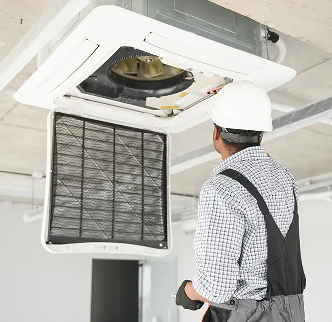 Why Homeowners & Businesses Trust Us in Collierville, TN?