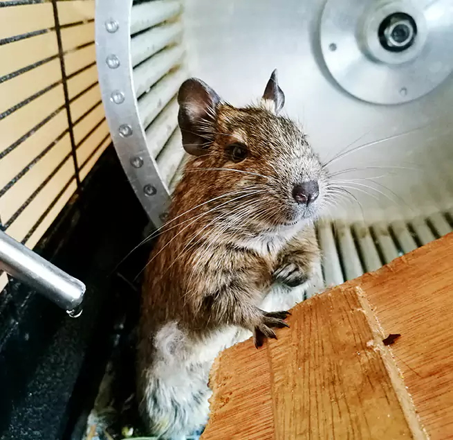 Why Homeowners & Businesses Trust Us Collierville, TN?