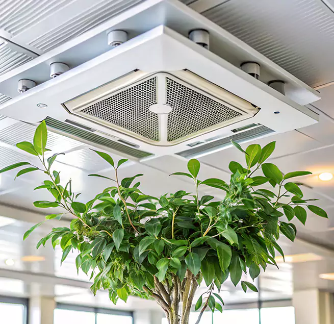 Why Homeowners & Businesses Trust Us in Collierville, TN