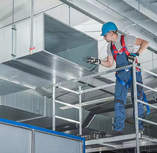 Why Homeowners Businesses Trust Us in Collierville, TN