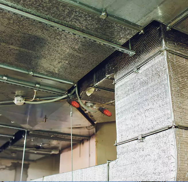 Why Homeowners & Businesses Trust Us Collierville, TN?