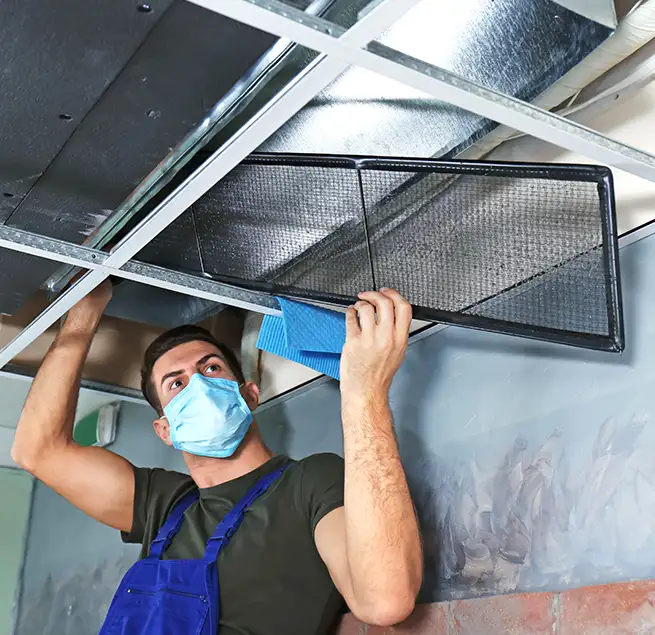 Why Homeowners & Businesses Trust Us in Collierville, TN?